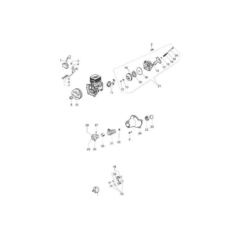 newgardenstore-13166043