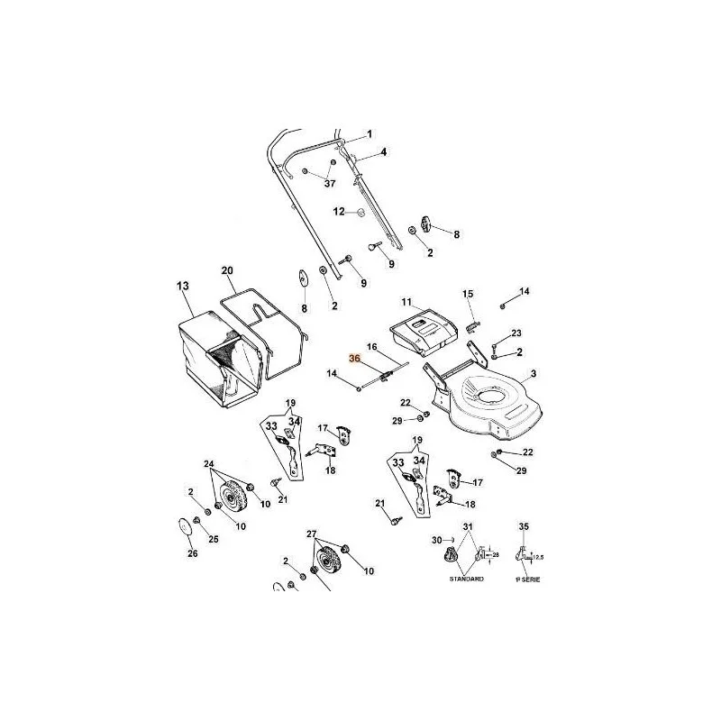 newgardenstore-13169095