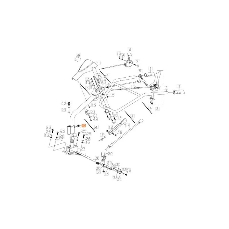 newgardenstore-13173982