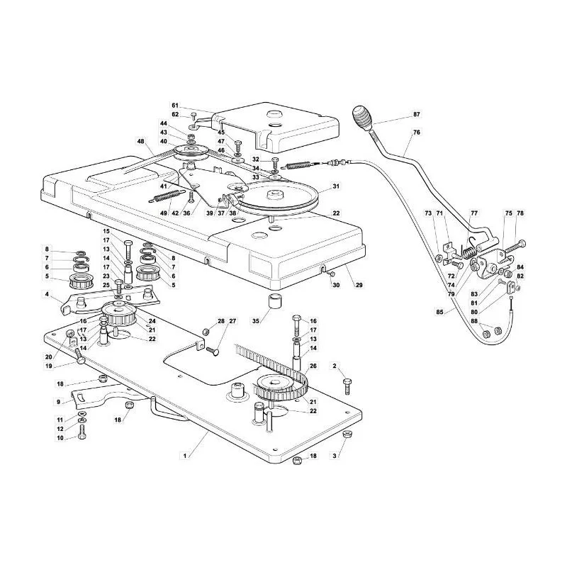 newgardenstore-13176445