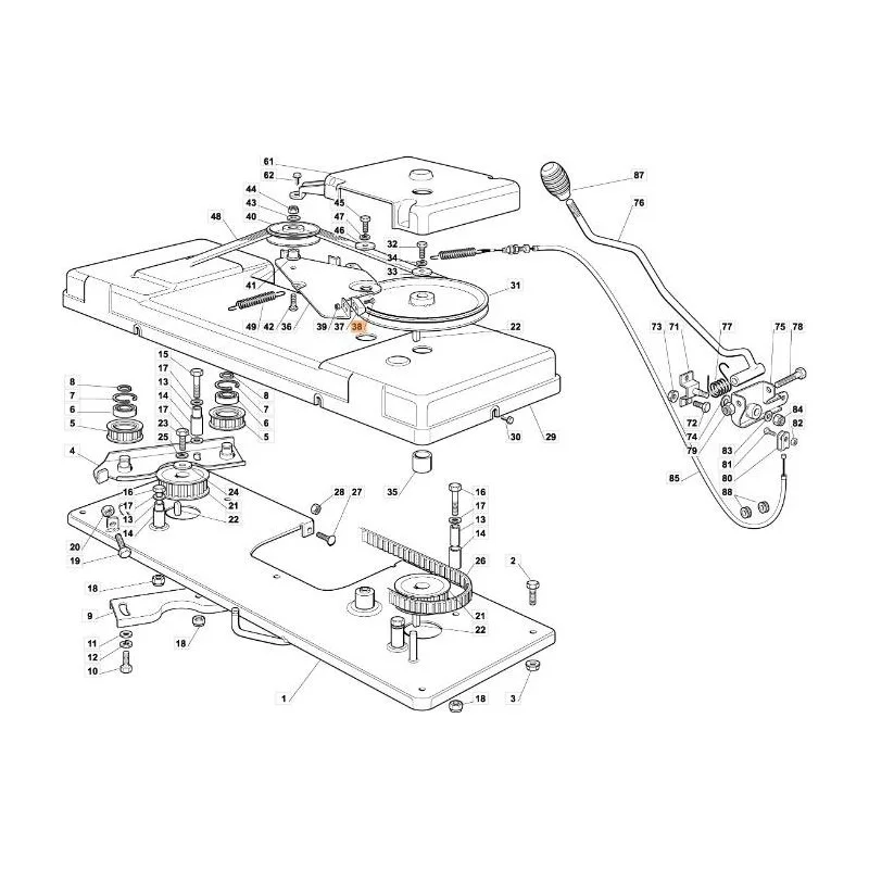 newgardenstore-13185326