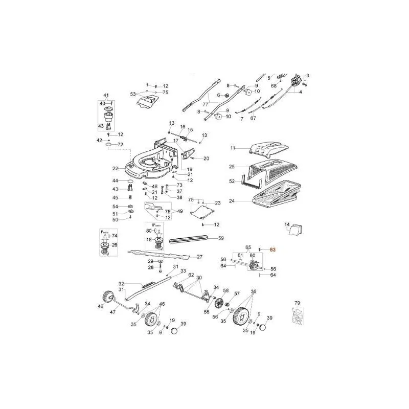 newgardenstore-13192645