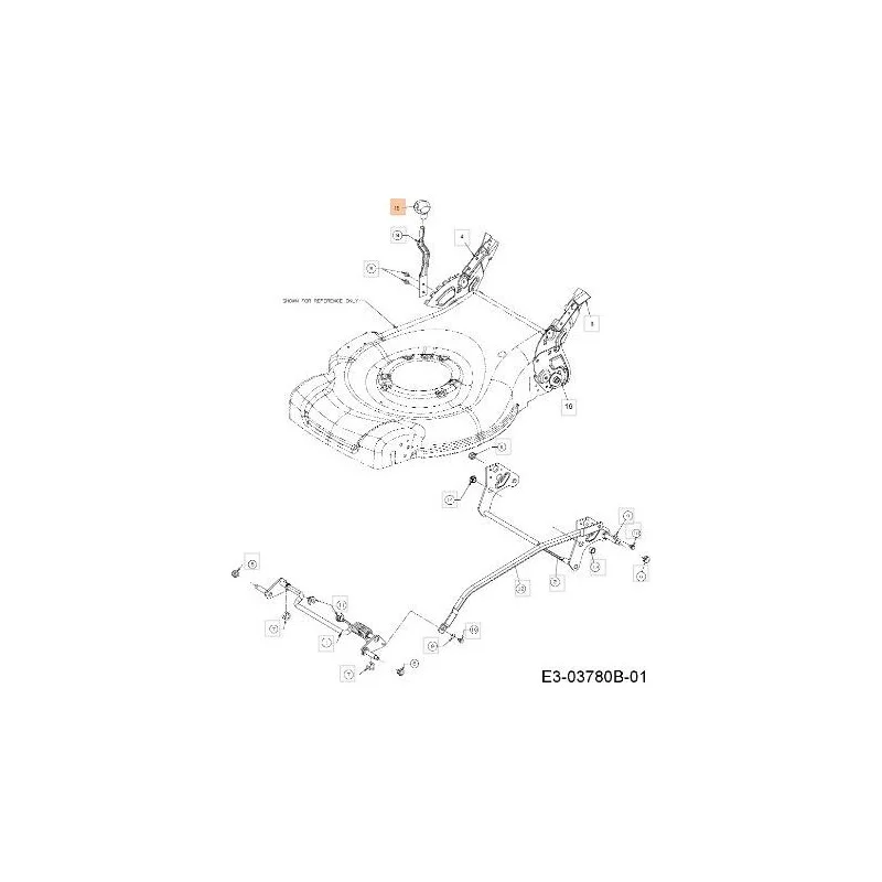 newgardenstore-13193903