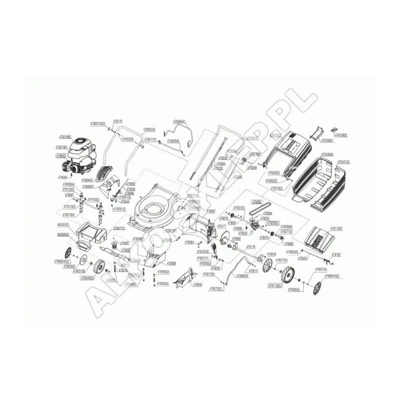 newgardenstore-13560756