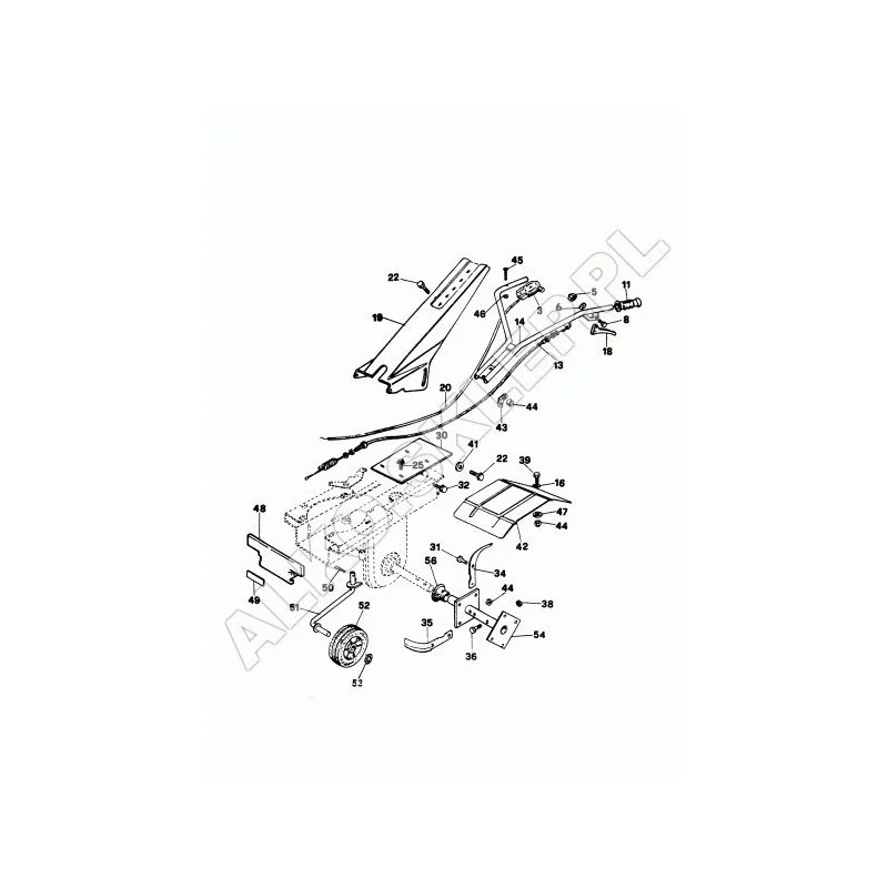 newgardenstore-13606392