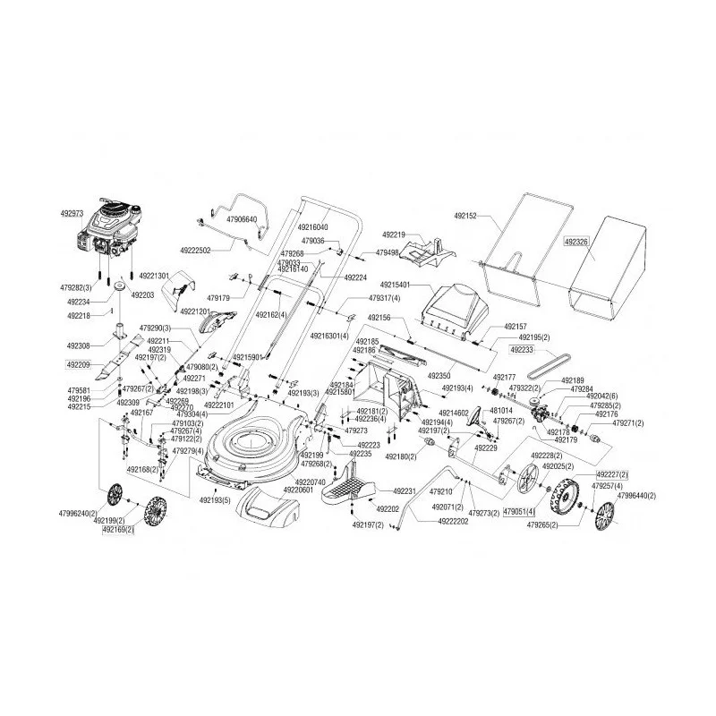 newgardenstore-13631128
