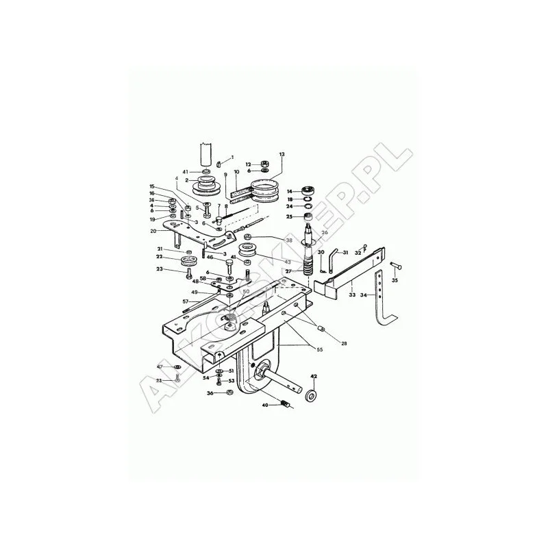 newgardenstore-13639950