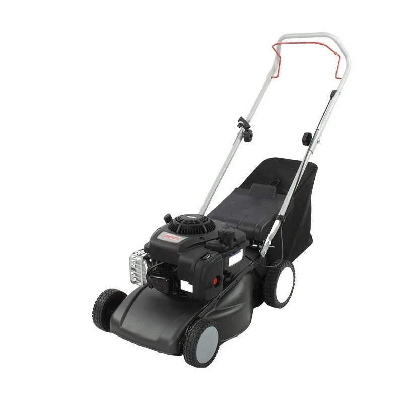 newgardenstore-13702579