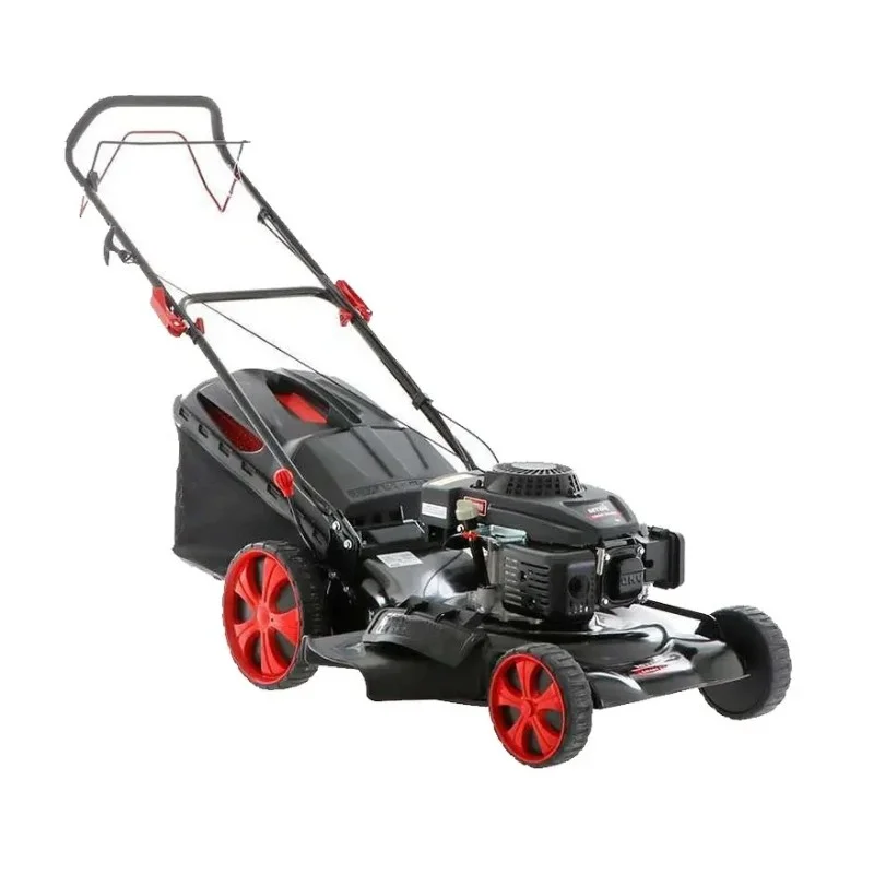 newgardenstore-13702600