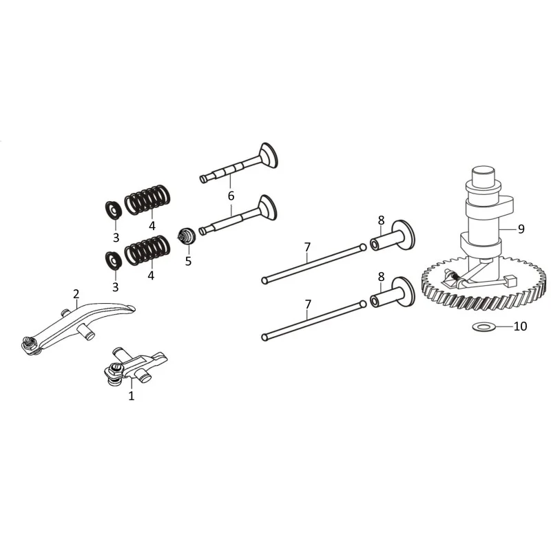 newgardenstore-13711671