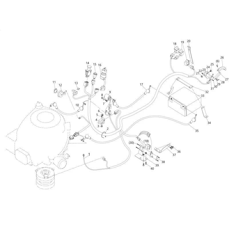 newgardenstore-13739474