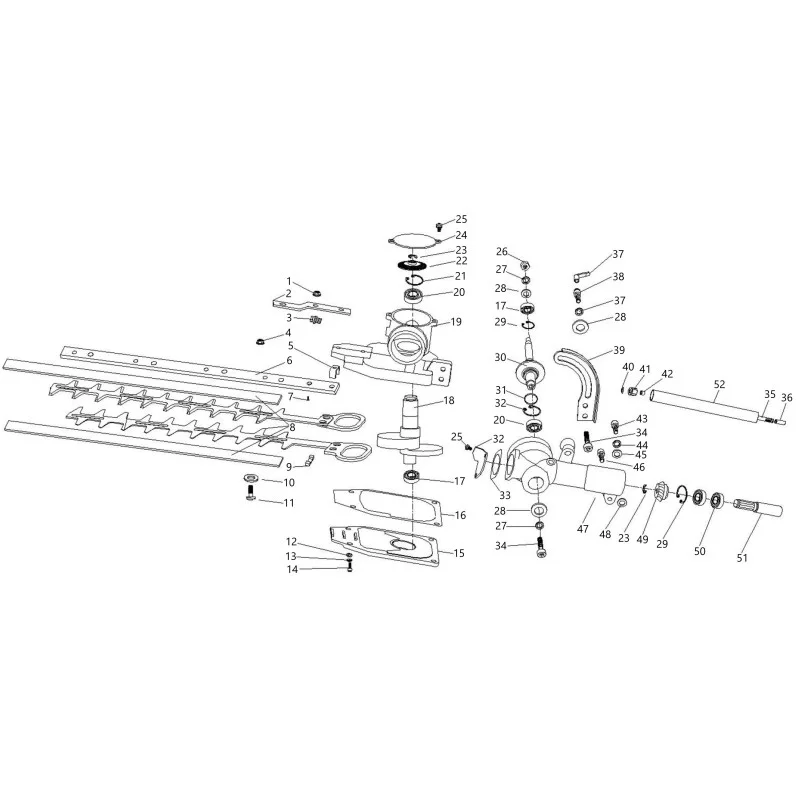 newgardenstore-13751362