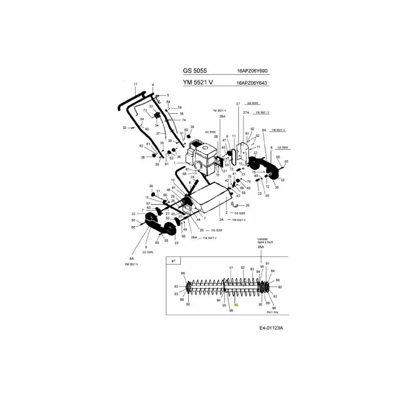 newgardenstore-22801900