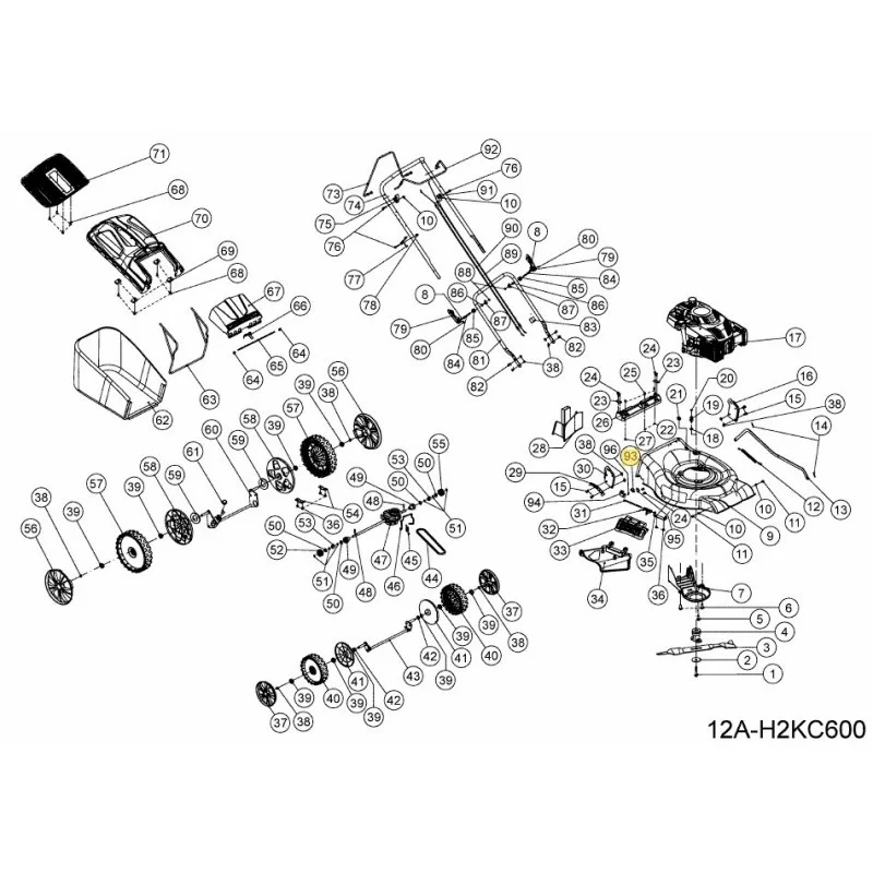 newgardenstore-22805325