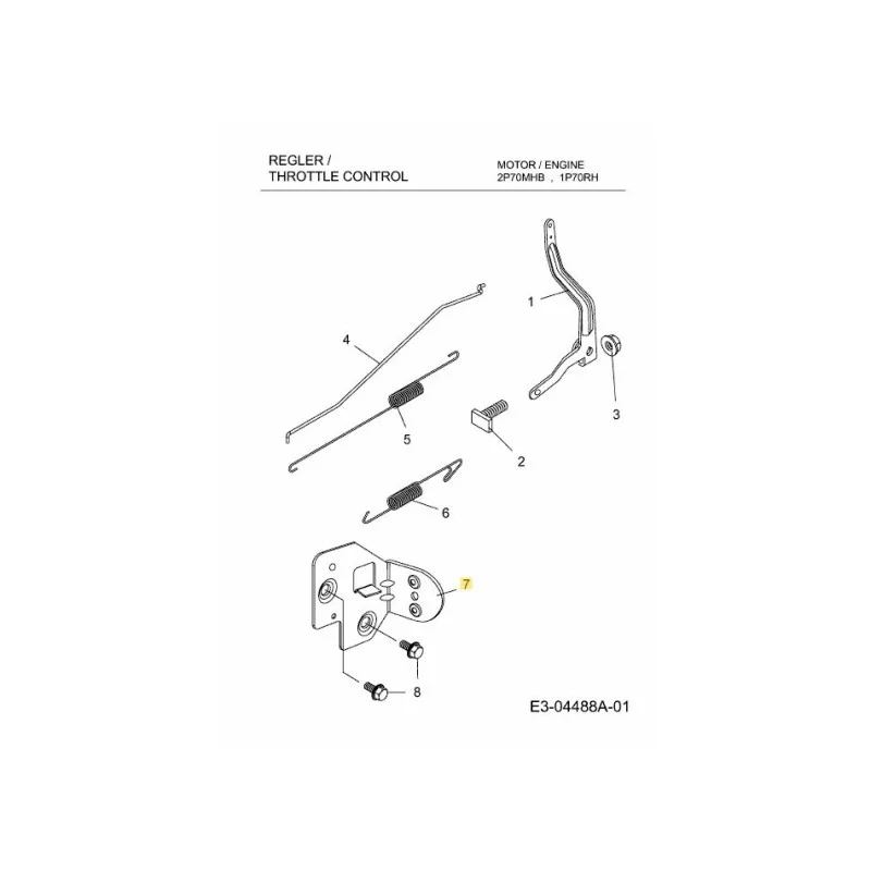 newgardenstore-22807287