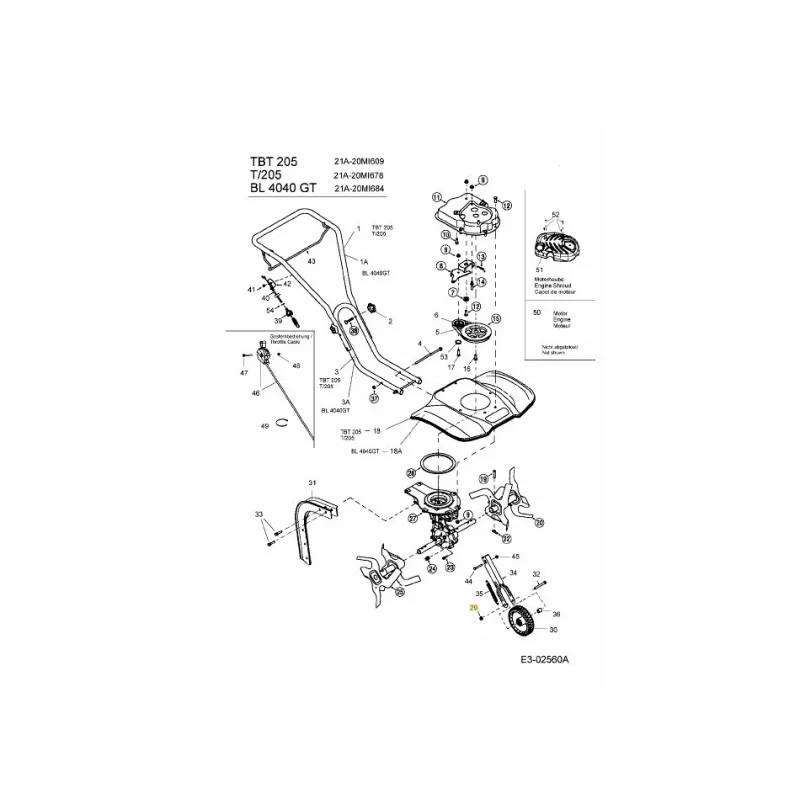 newgardenstore-22820202