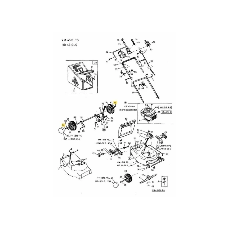 newgardenstore-22823766