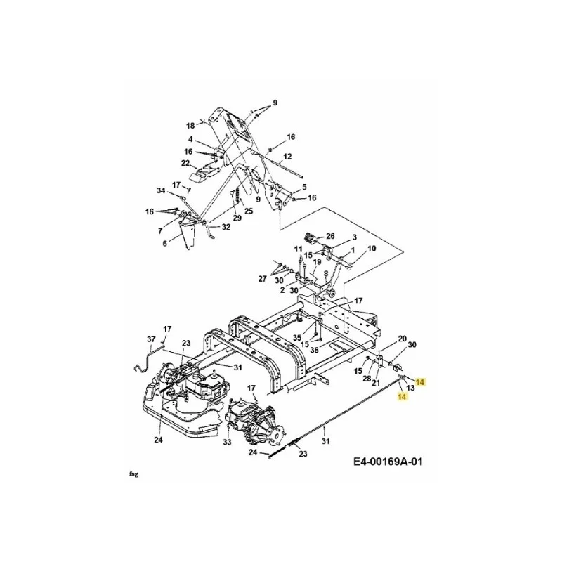 newgardenstore-22825198