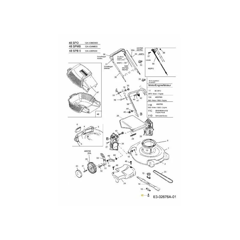 newgardenstore-22836867
