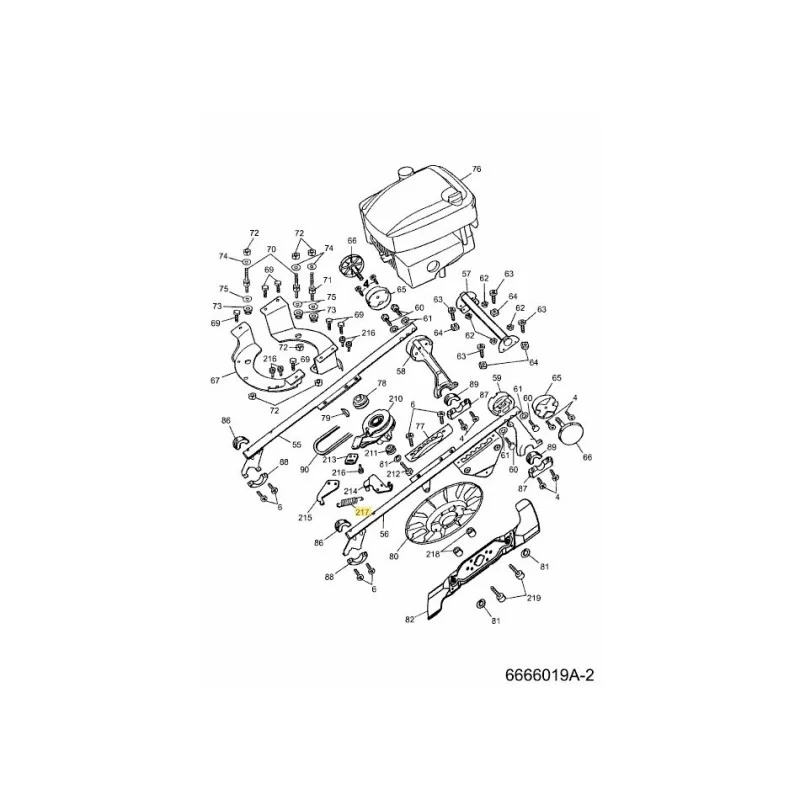 newgardenstore-22838925