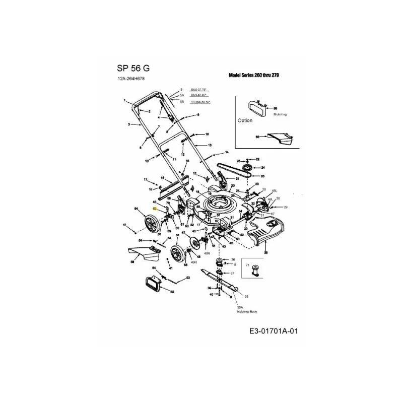 newgardenstore-22839597
