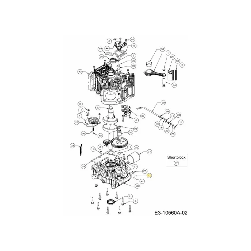 newgardenstore-22841202