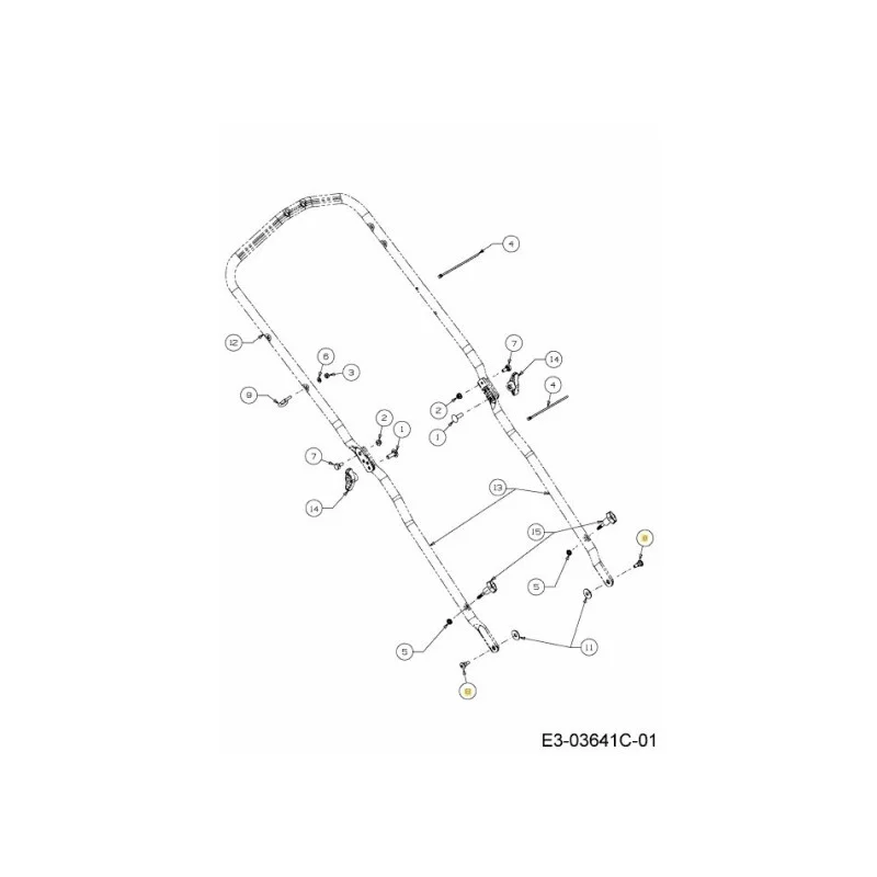 newgardenstore-22852337