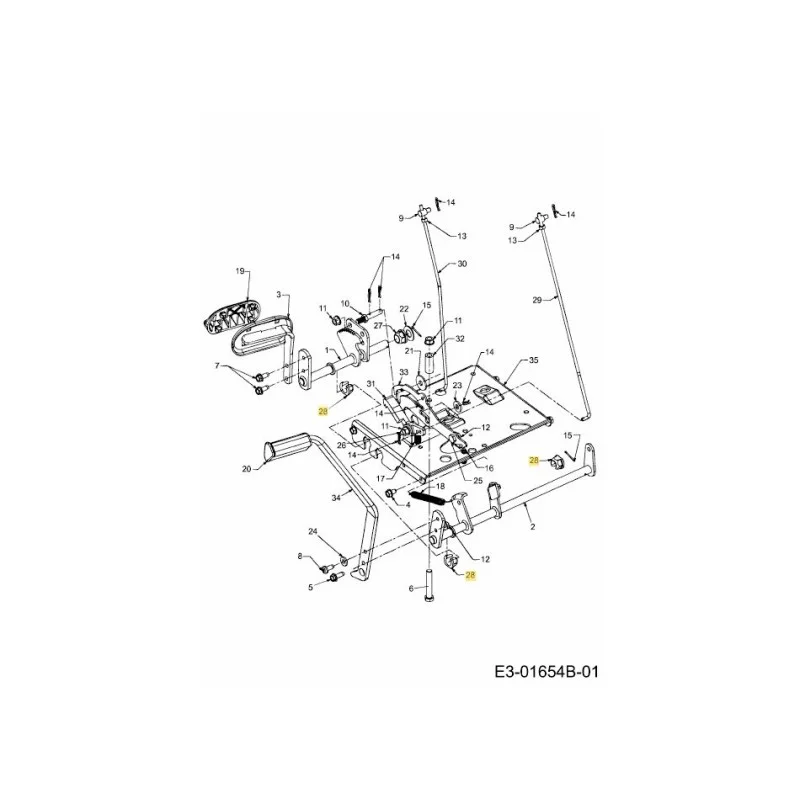 newgardenstore-22855601