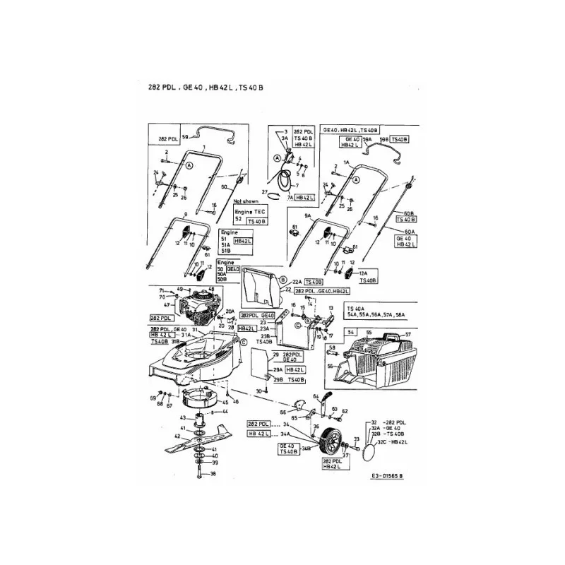 newgardenstore-22858837