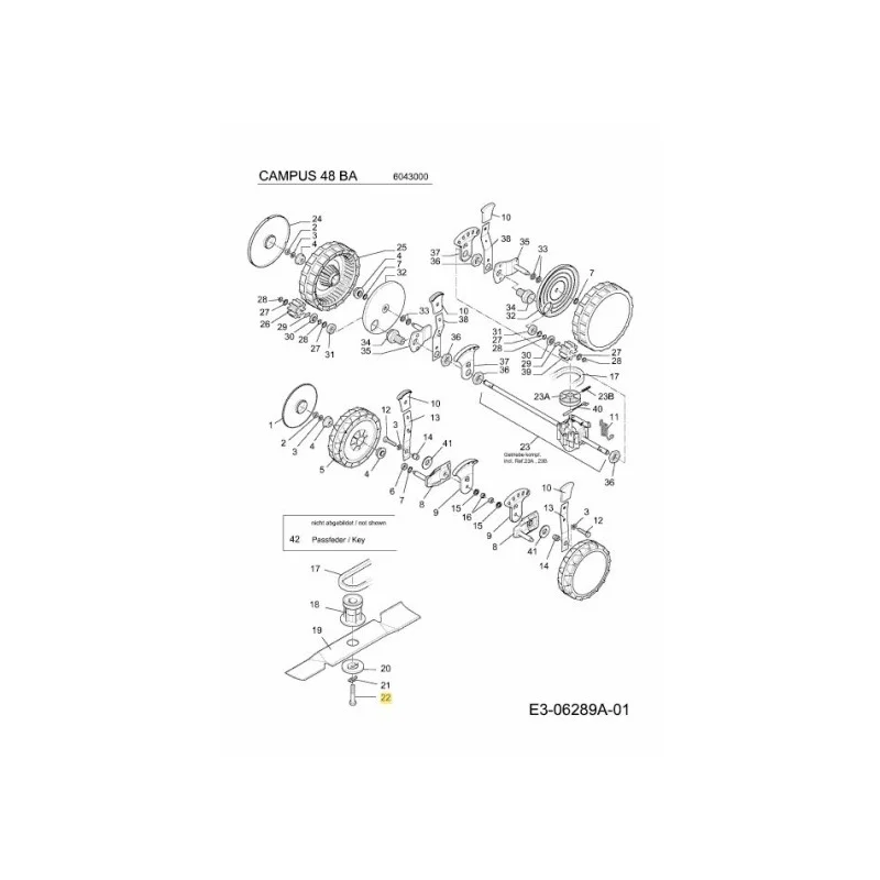 newgardenstore-22867492