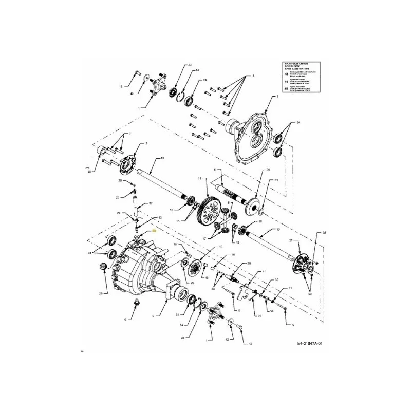 newgardenstore-22870747