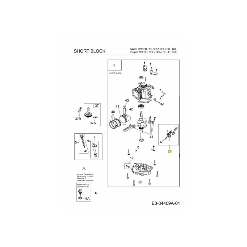 newgardenstore-22872016