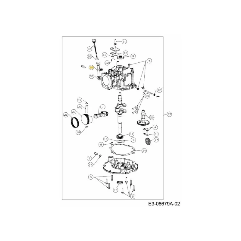 newgardenstore-22874335