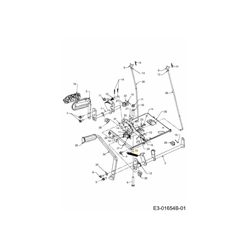 newgardenstore-22874942