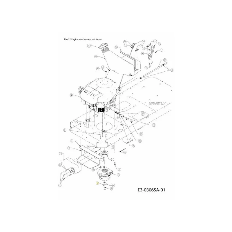 newgardenstore-22876966