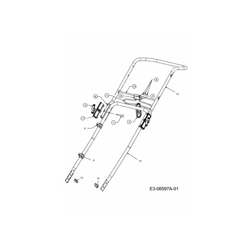 newgardenstore-22880912