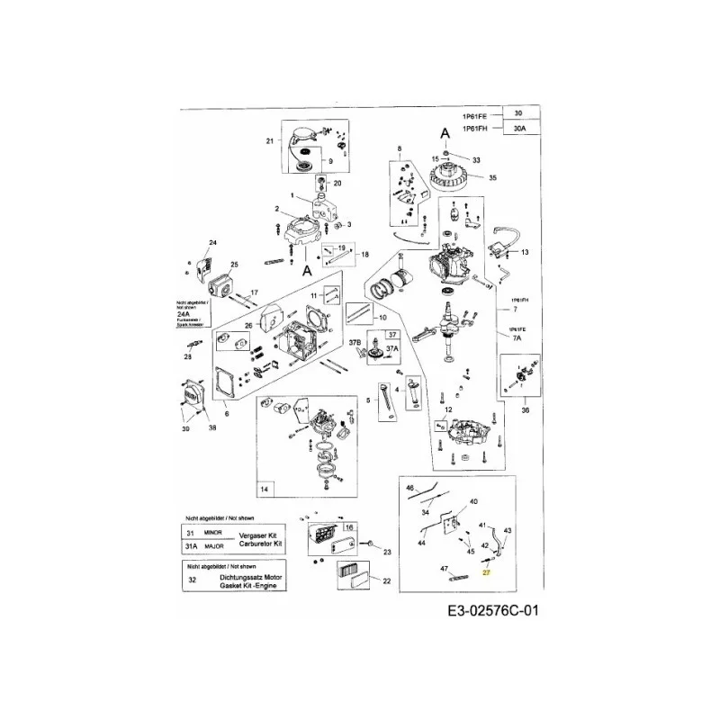 newgardenstore-22882084