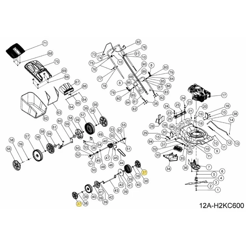 newgardenstore-22883004