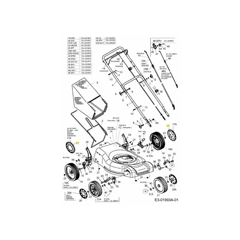 newgardenstore-22884078