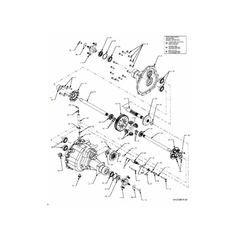 newgardenstore-22891175