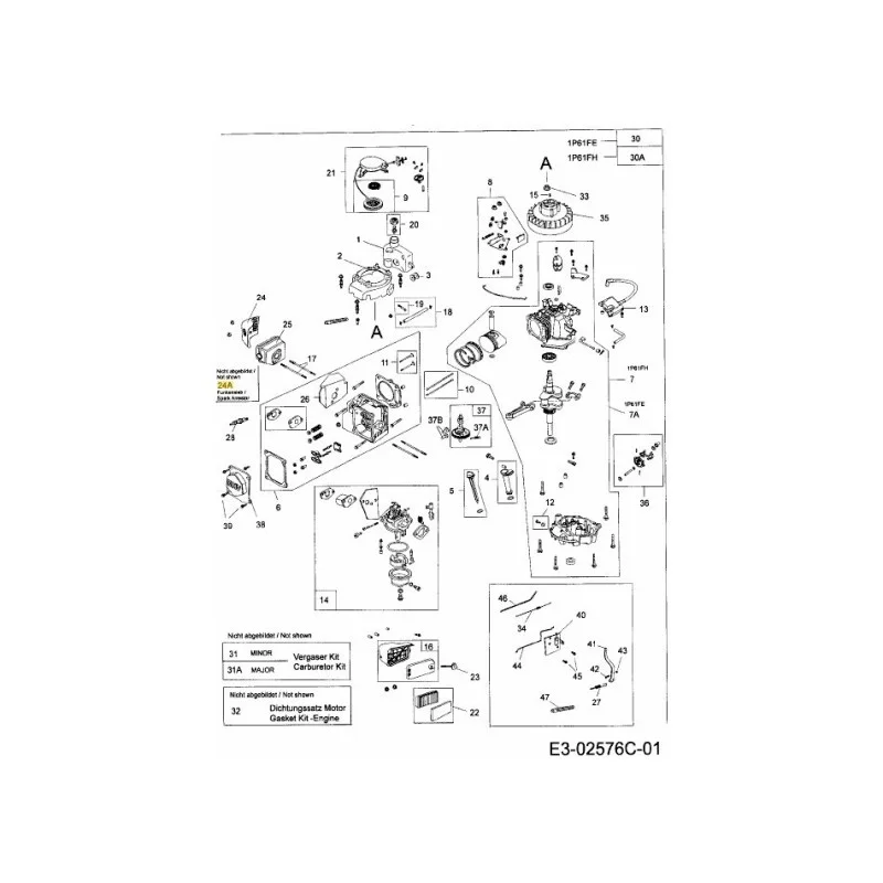 newgardenstore-22891191