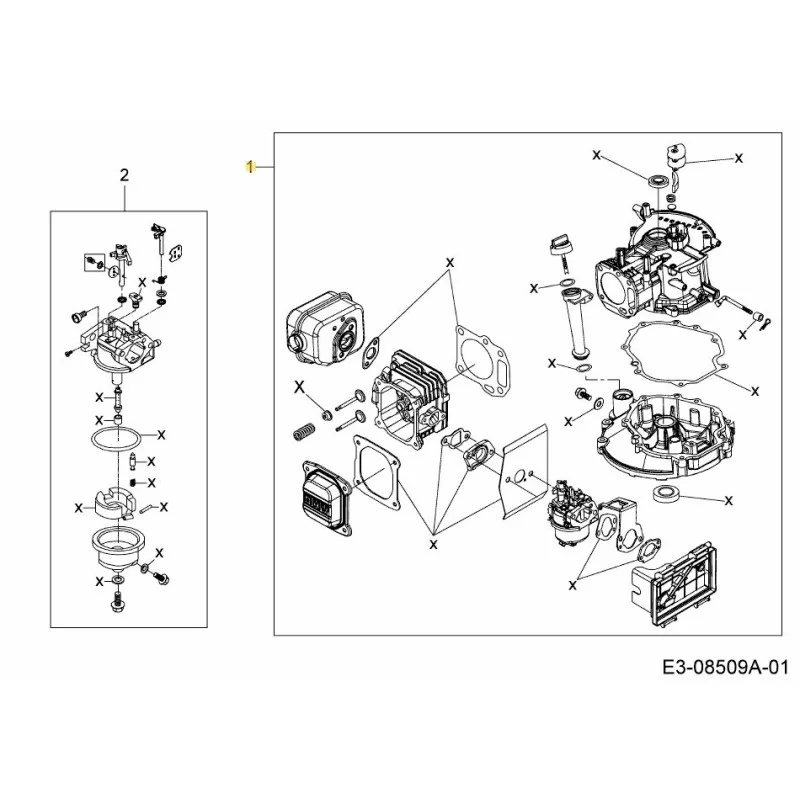 newgardenstore-22891216