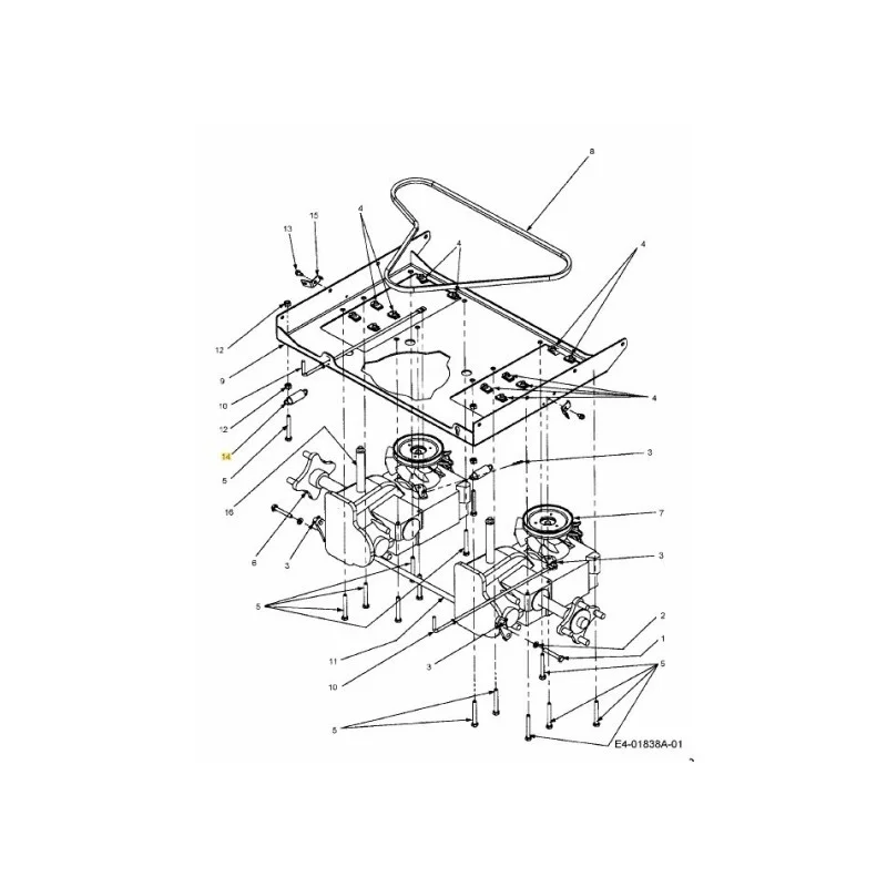 newgardenstore-22894893