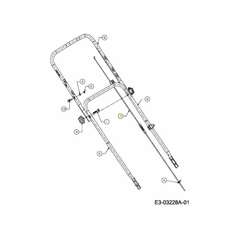 newgardenstore-22898696