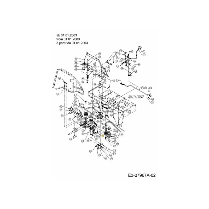 newgardenstore-22903801