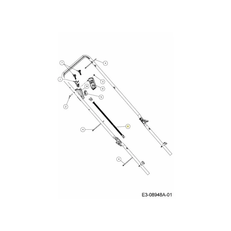 newgardenstore-22908249