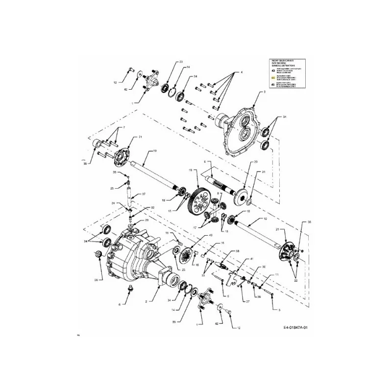 newgardenstore-22912051