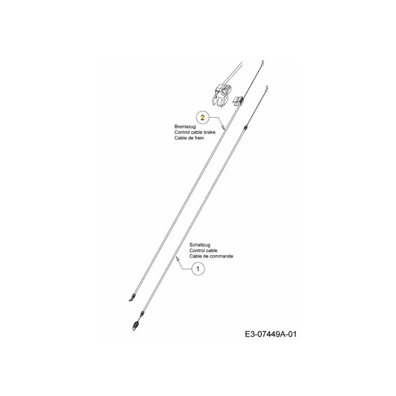 newgardenstore-22913234