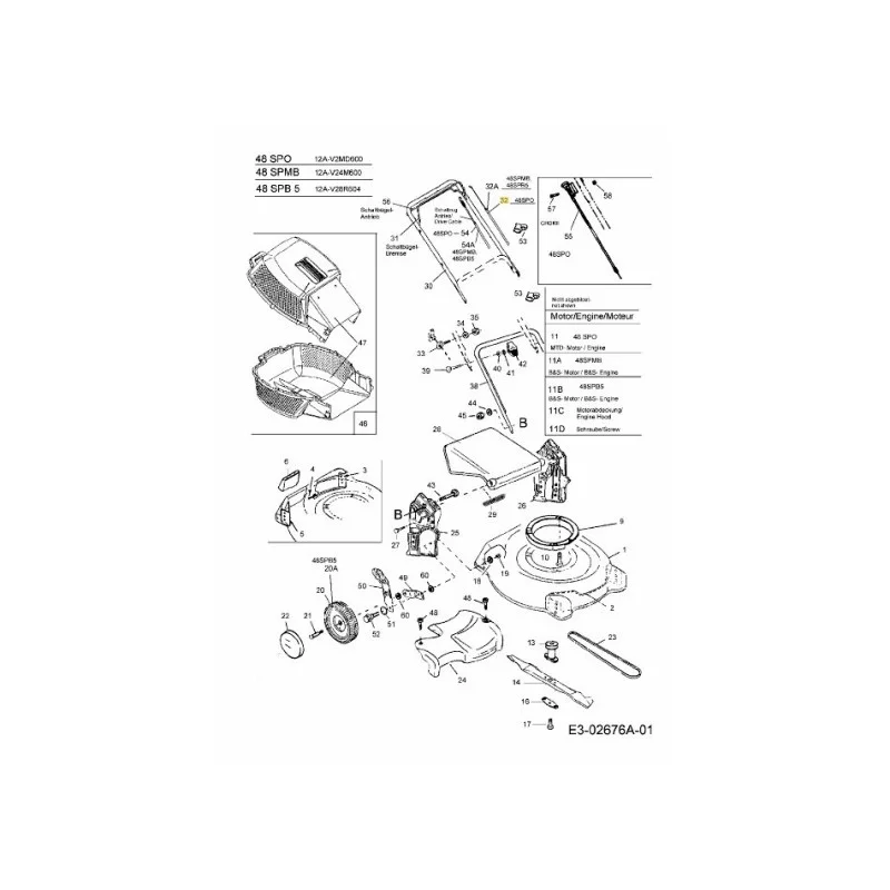 newgardenstore-22921039