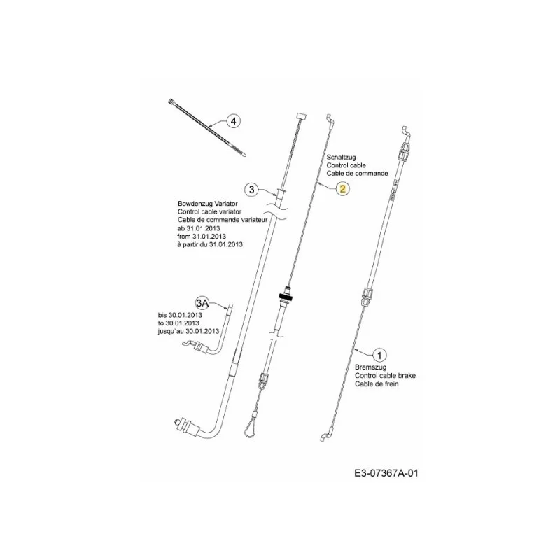 newgardenstore-22924984
